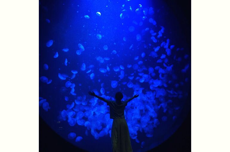 加茂水族館３